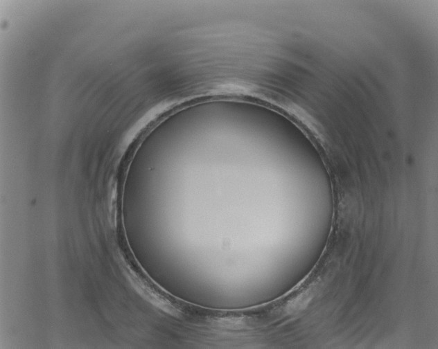 X0000062141126200512161211