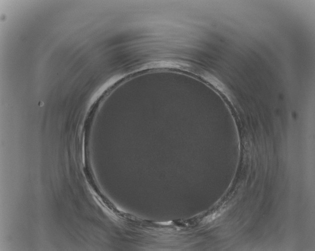 X0000062141127200512161211