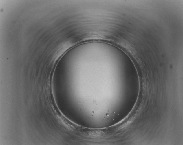 X0000062141129200512161211