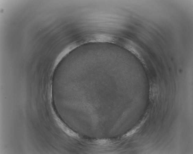 X0000062141130200512161211