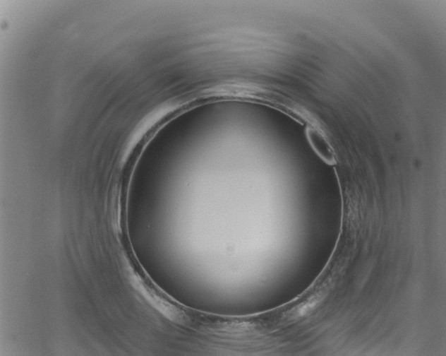 X0000062141131200512161211