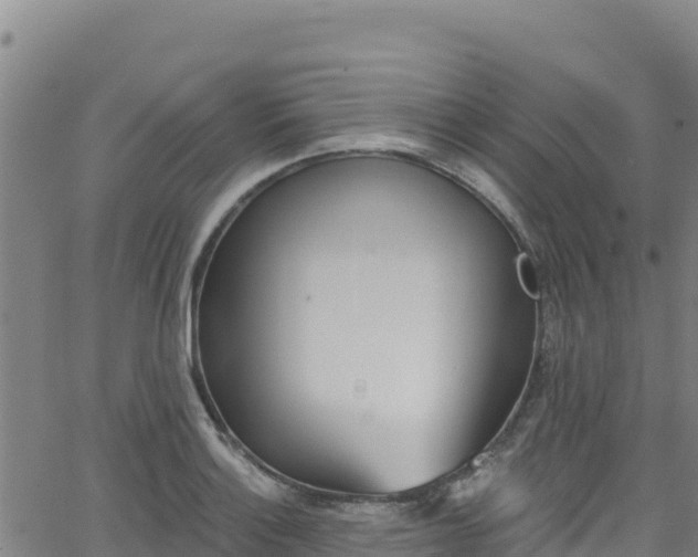 X0000062141132200512161211