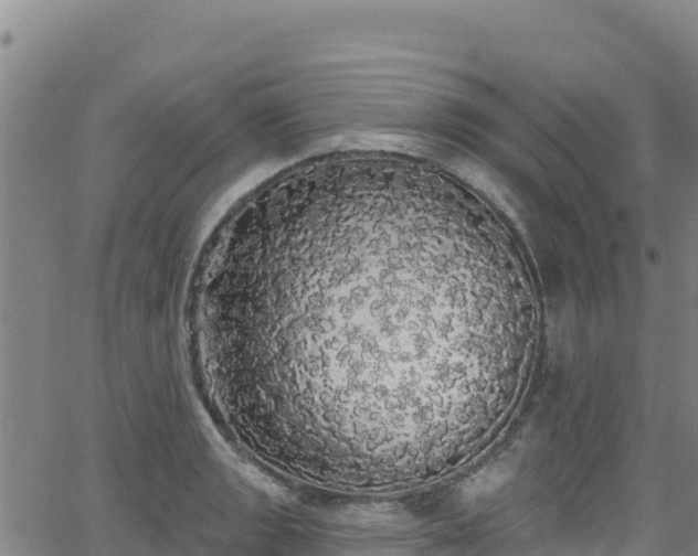 X0000062141133200512161211