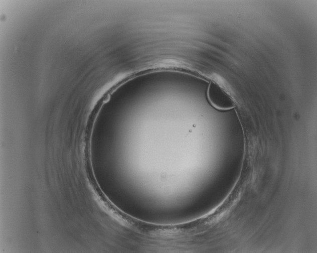 X0000062141134200512161211