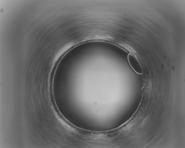 X0000062141135200512161211