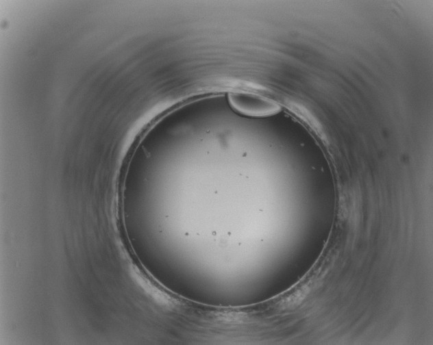 X0000062141136200512161211