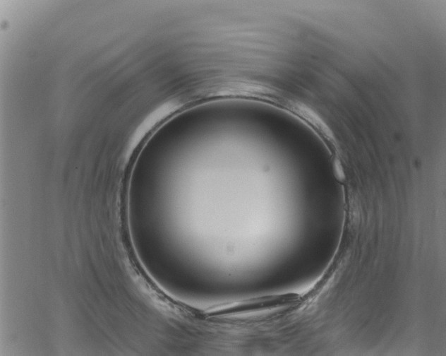 X0000062141138200512161211