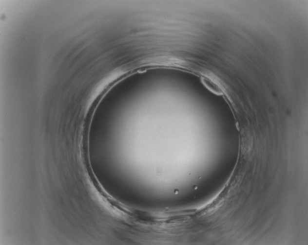 X0000062141139200512161211