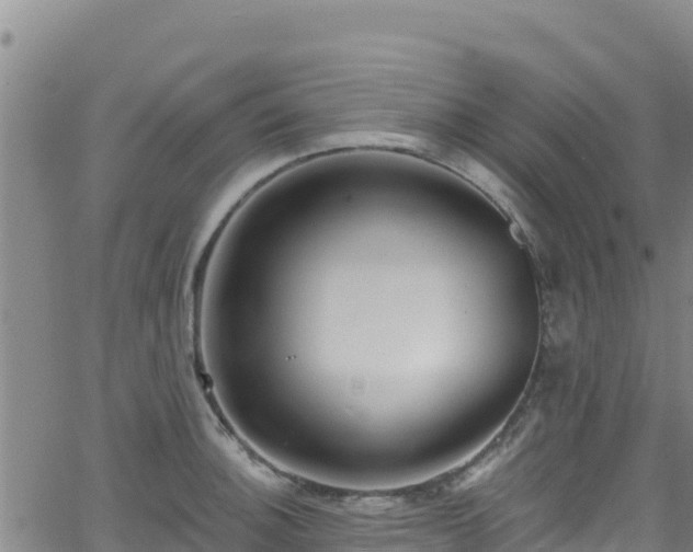 X0000062141140200512161211