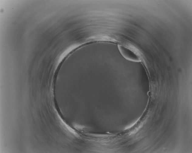 X0000062141141200512161211