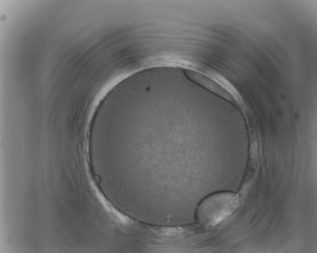 X0000062141144200512161211