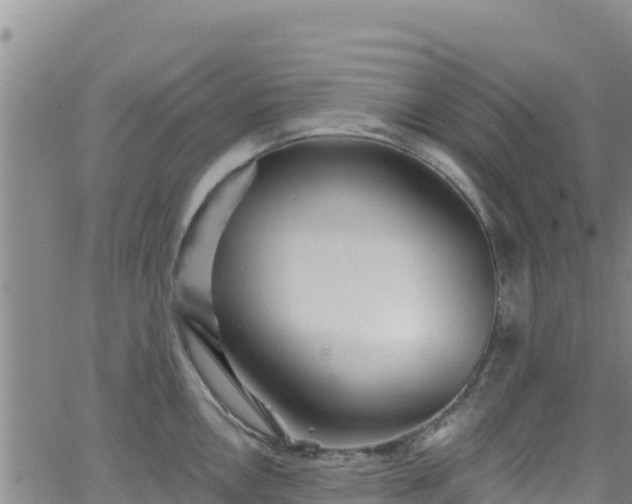 X0000062141146200512161211