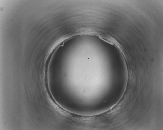 X0000062141147200512161211