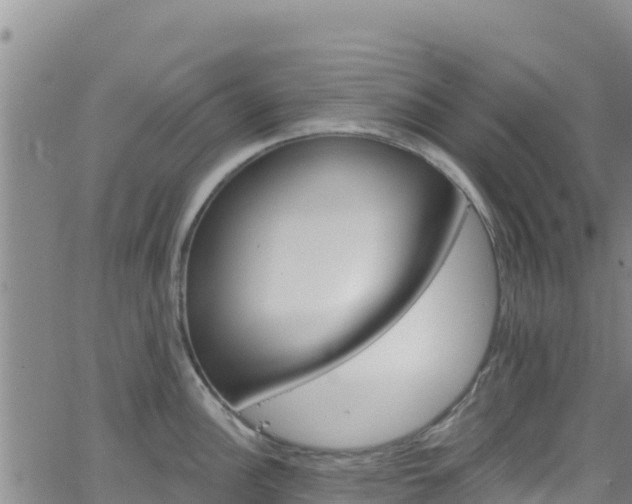 X0000062141148200512161211