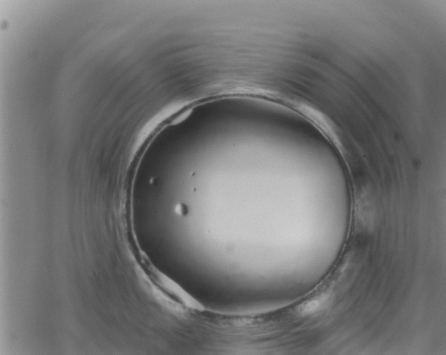 X0000062141149200512161211