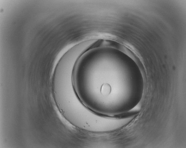 X0000062141152200512161211