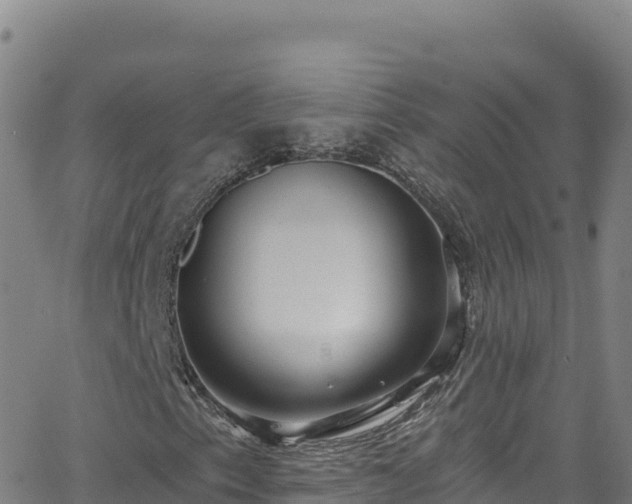 X0000062141153200512161210