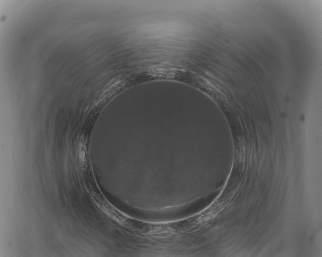 X0000062141154200512161210