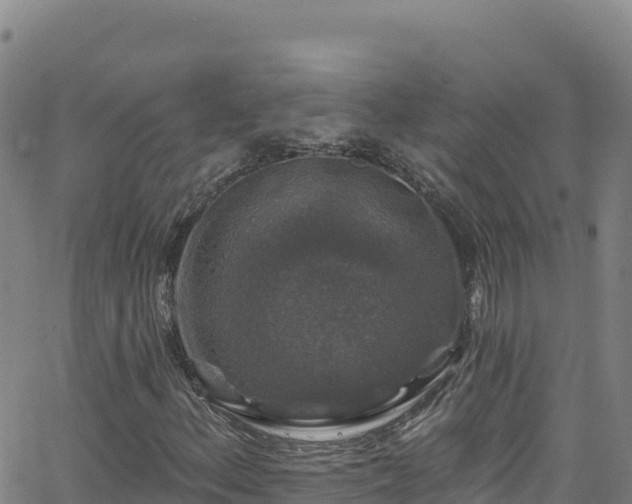 X0000062141156200512161210