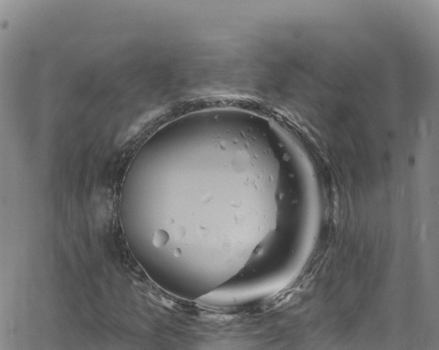 X0000062141157200512161210