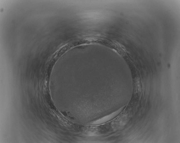 X0000062141158200512161210