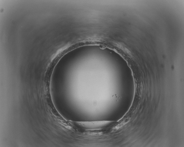 X0000062141160200512161210