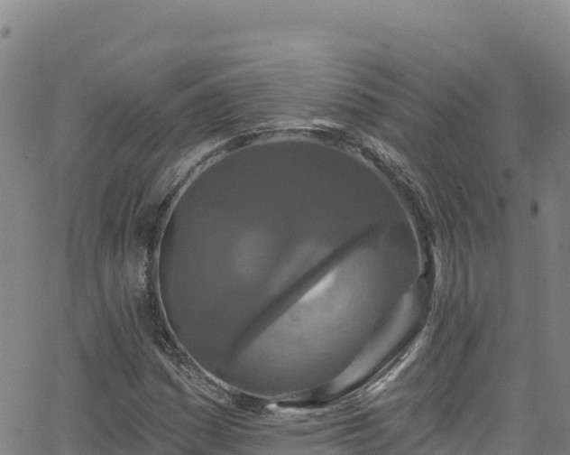 X0000062141161200512161210