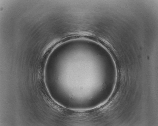 X0000062141163200512161210