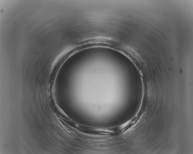 X0000062141164200512161210