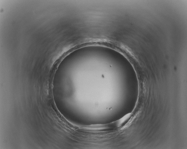 X0000062141165200512161210