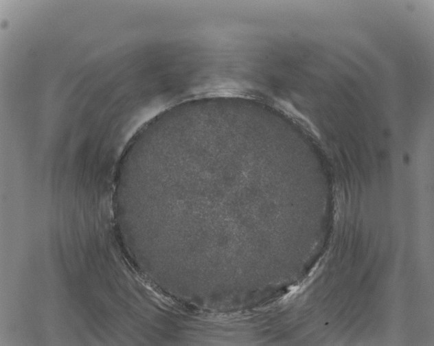 X0000062141166200512161210