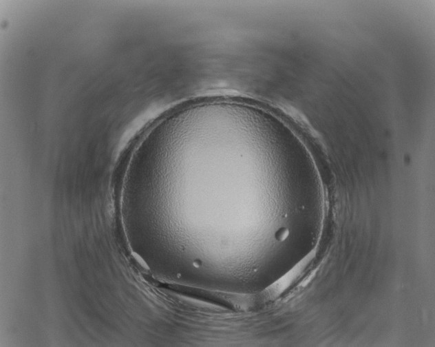 X0000062141167200512161210