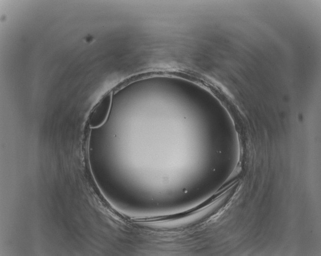 X0000062141168200512161210