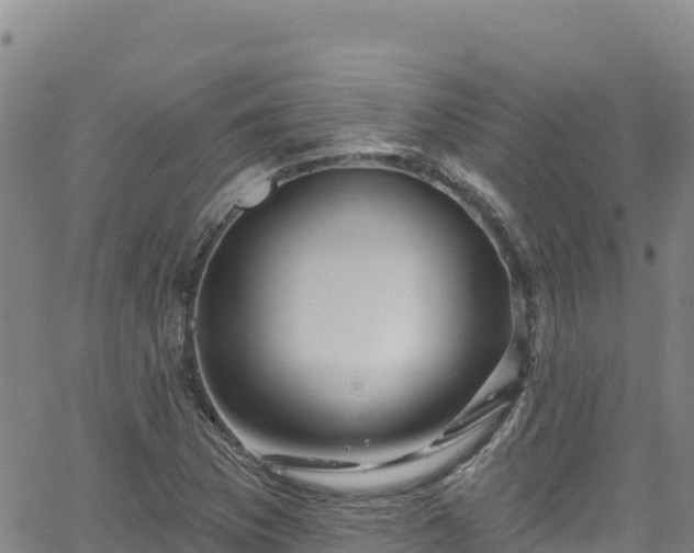 X0000062141169200512161210