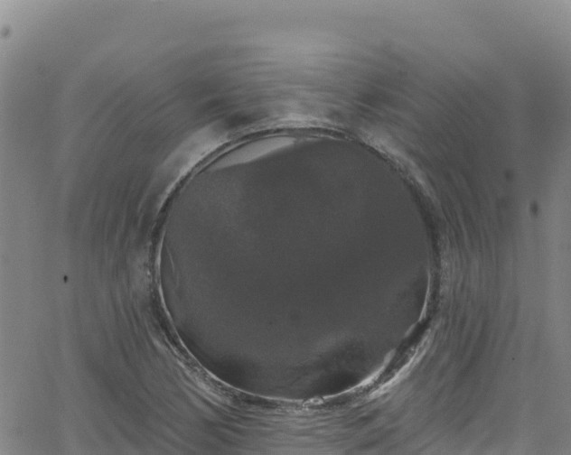 X0000062141170200512161210