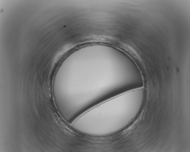 X0000062141172200512161210