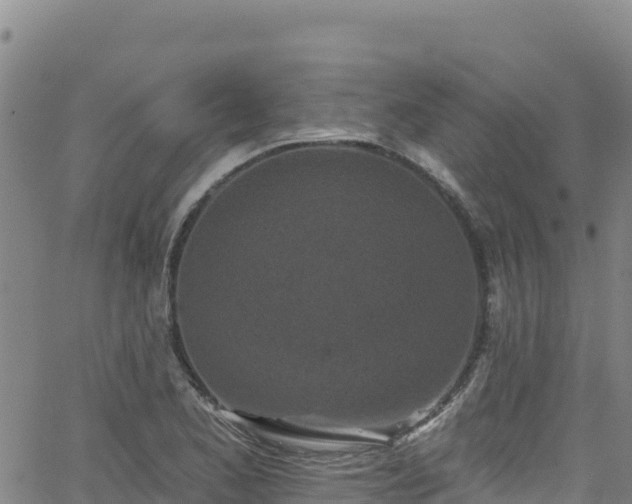 X0000062141173200512161210