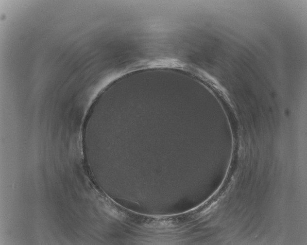 X0000062141174200512161210