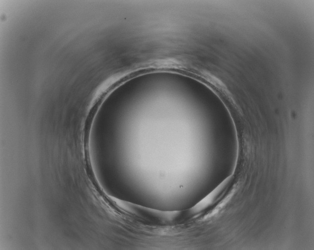 X0000062141176200512161210