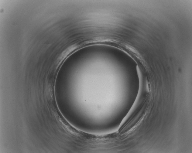 X0000062141177200512161210