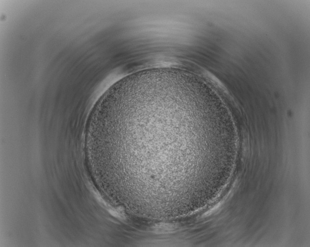 X0000062141178200512161210