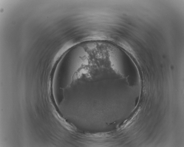 X0000062141179200512161210