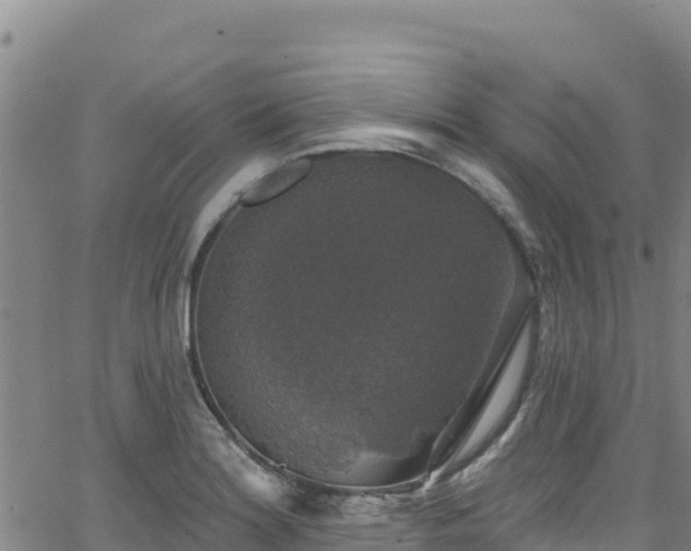 X0000062141180200512161210