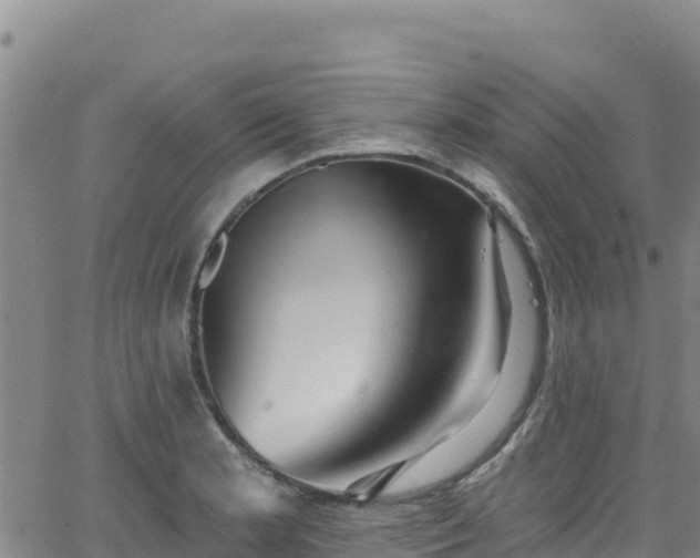 X0000062141181200512161210