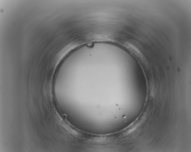 X0000062141182200512161210