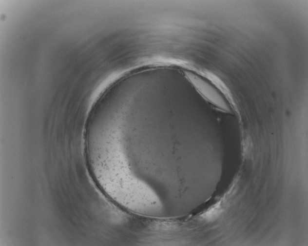 X0000062141183200512161210