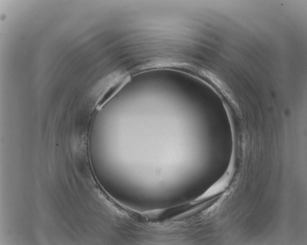 X0000062141185200512161210