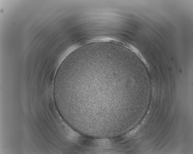 X0000062141186200512161210