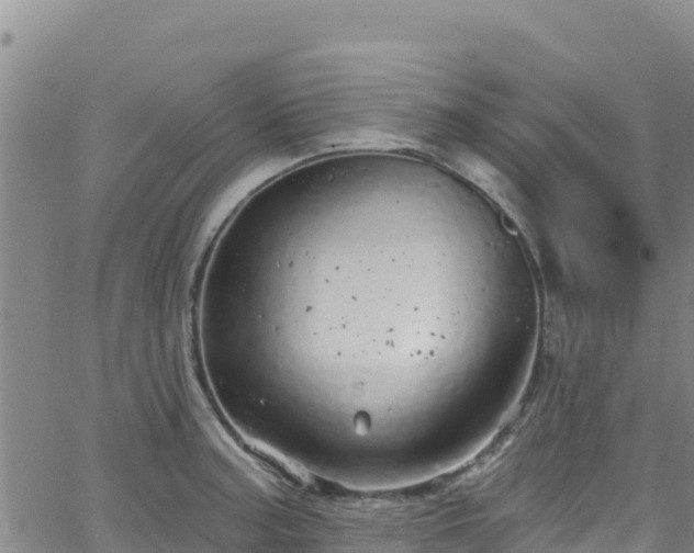 X0000062141187200512161210