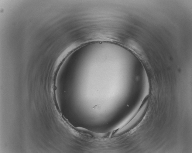 X0000062141188200512161210